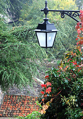 Image showing Streetlamp in the Park