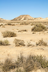 Image showing Red Desert