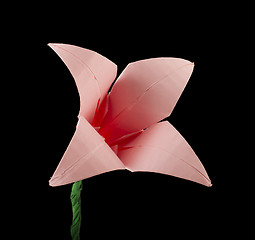 Image showing Pink Flower origami black isolated