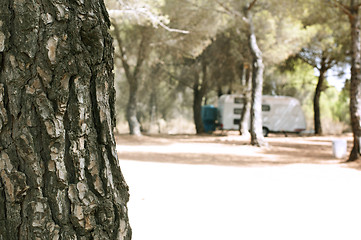 Image showing Tree in the forest and caravan