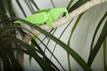 Image showing Parrot on a tree