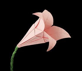 Image showing Pink Flower origami black isolated