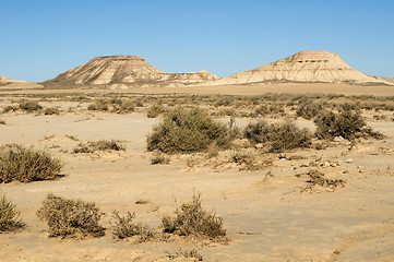 Image showing Red Desert