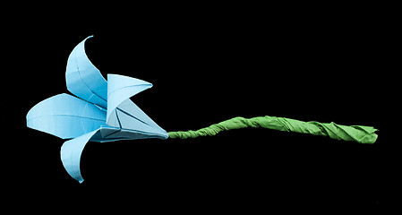 Image showing Blue Flower origami black isolated.