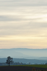 Image showing Sunset in autumn