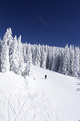 Image showing ski slope on mountain side