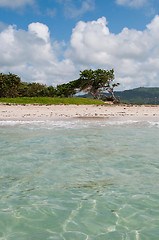 Image showing Deserted beach at Vieux Fort