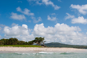 Image showing Deserted beach at Vieux Fort