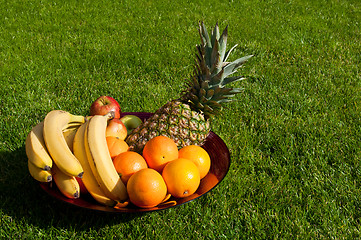 Image showing Fruit bowl