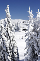 Image showing snow covered ski chalet in pine forest