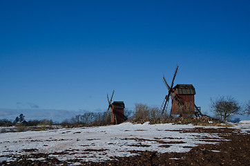 Image showing Early springtime