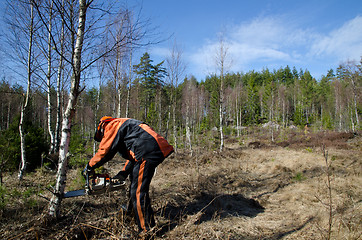 Image showing Cutting firewood