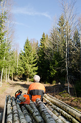 Image showing Lumberjacks break