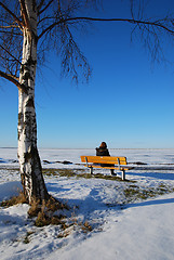 Image showing Alone in winter landscape