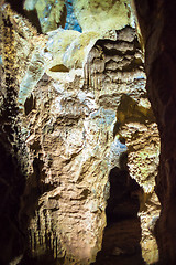 Image showing Inside the Cradle of Humankind