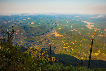 Image showing View from God's Window, South Africa