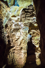 Image showing Inside the Cradle of Humankind