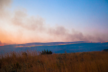 Image showing Brush fire