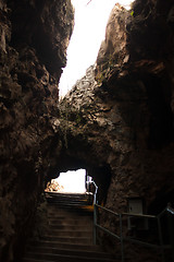 Image showing Inside the Cradle of Humankind