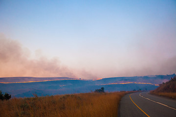 Image showing Brush fire