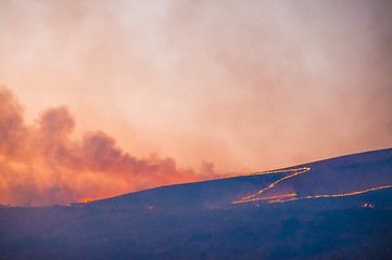 Image showing Brush fire