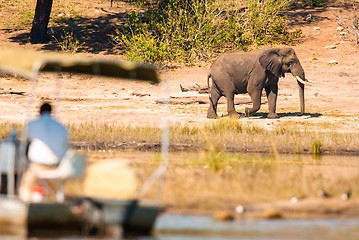 Image showing Elephant and tour boat