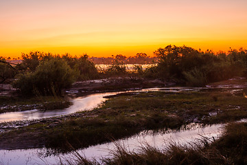 Image showing Zambezi River