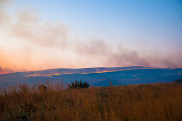 Image showing Brush fire