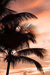 Image showing Sunset in Antigua