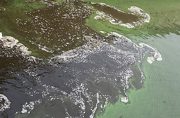 Image showing Water pollution