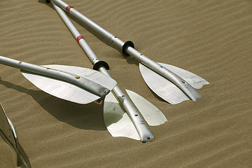 Image showing Kayak paddles laying in the sand