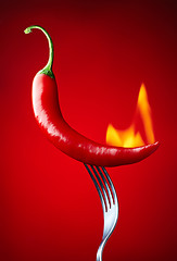 Image showing burning red chili pepper on red background