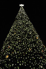 Image showing christmas tree