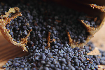 Image showing blue poppy seeds 