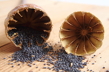 Image showing blue poppy seeds 