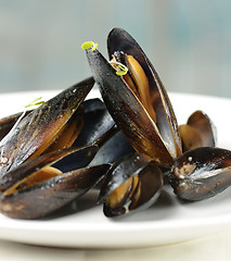 Image showing Mussels 