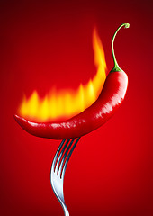 Image showing burning red chili pepper