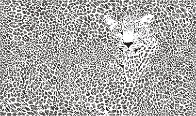 Image showing Jaguar skin background