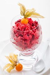Image showing Cranberry sorbet for Christmas
