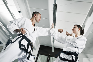 Image showing martial arts masters