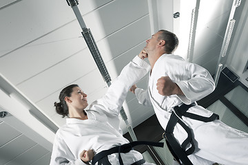 Image showing martial arts masters