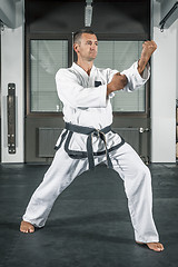 Image showing martial arts master