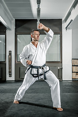 Image showing martial arts master