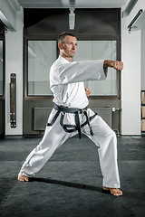 Image showing martial arts master