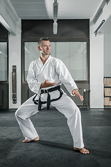 Image showing martial arts master