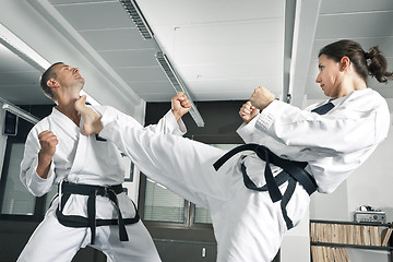 Image showing martial arts master