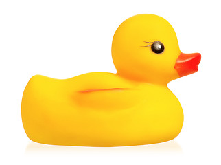 Image showing Rubber duck