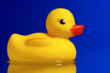 Image showing Rubber duck