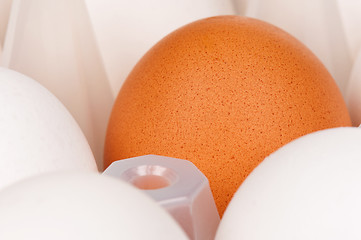 Image showing Eggs in box