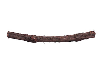 Image showing Tree branch